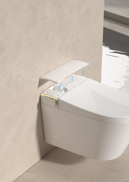 Modern Smart  with buil-in tank, Geberit type frame, toilet display panel removal www.hola.shop.pl
