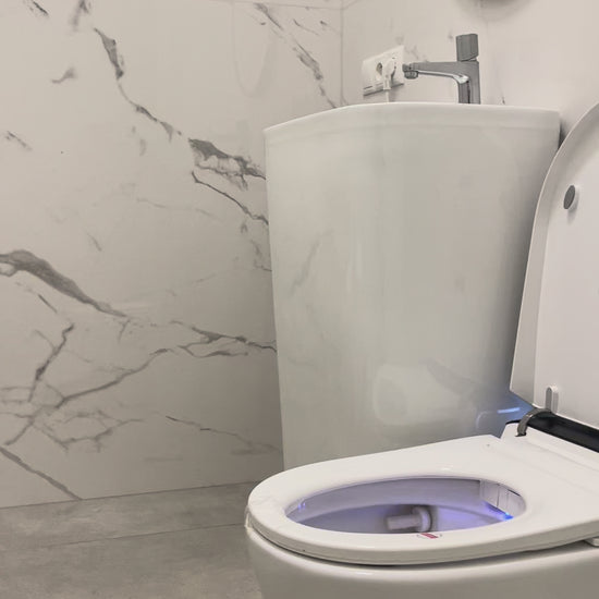 Smart toilet Hola with buil-in tank, Geberit type frame www.hola.shop.pl
